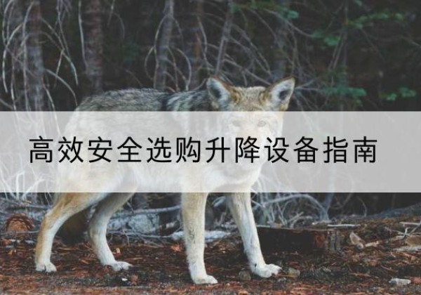 湘东升降货梯厂家推荐-*安全选购升降设备指南