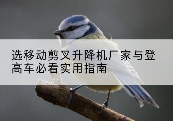 湘东电动升降机厂家-选移动剪叉升降机厂家与登高车必看实用指南